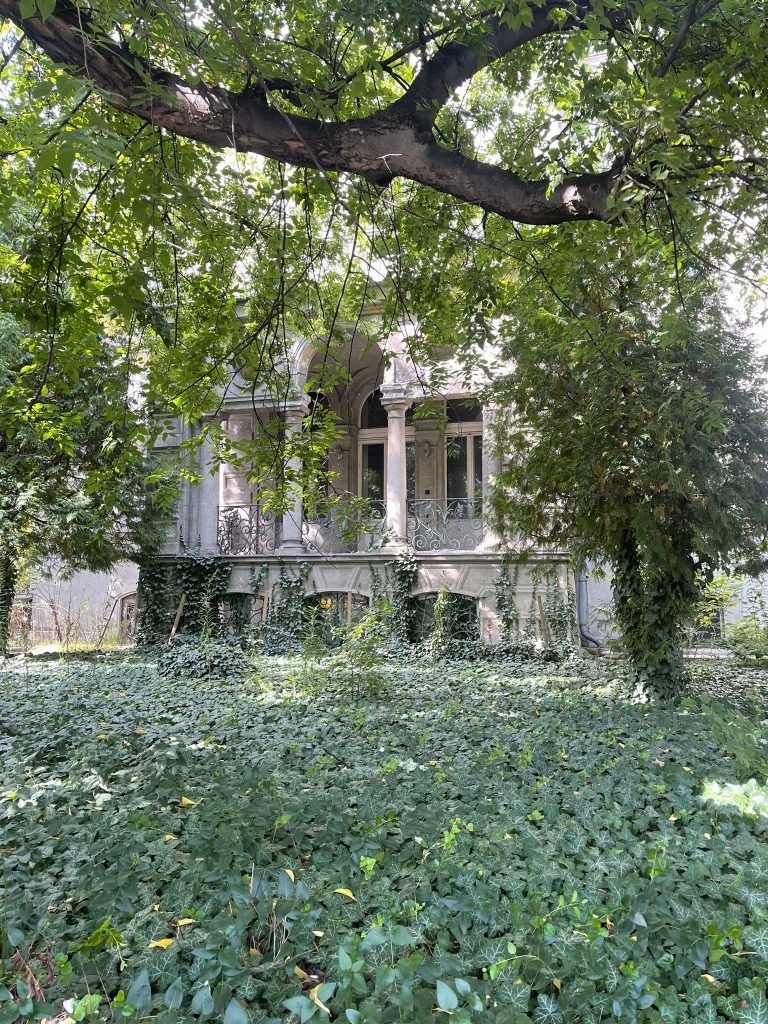 Overgrown garden and house in Paris. With a tree framing the picture.