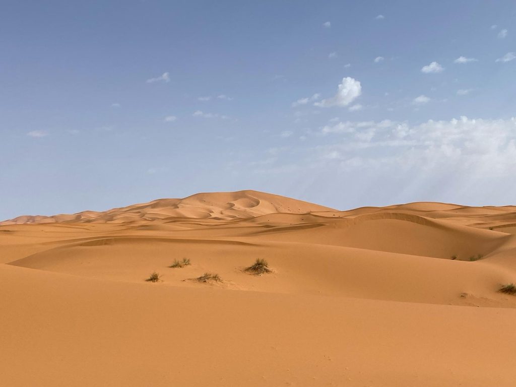Sandy desert near Marrakech with rolling dunes, sparse plants, and clear blue sky