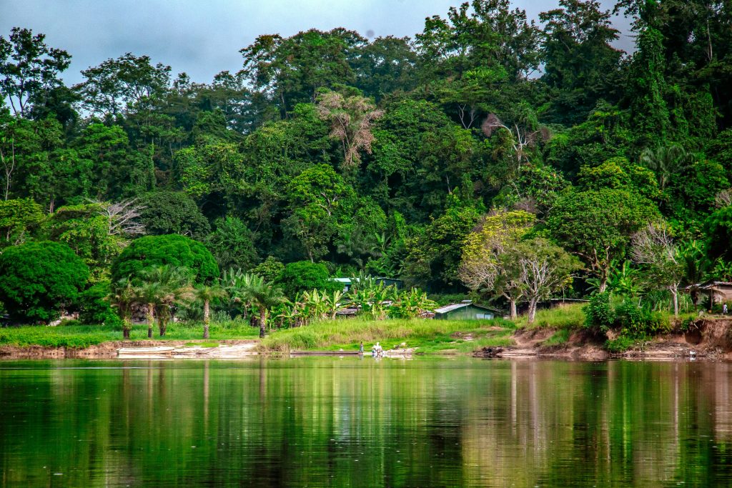 Tranquil body of water in Gabon surrounded by lush green trees, reflecting the clear blue sky